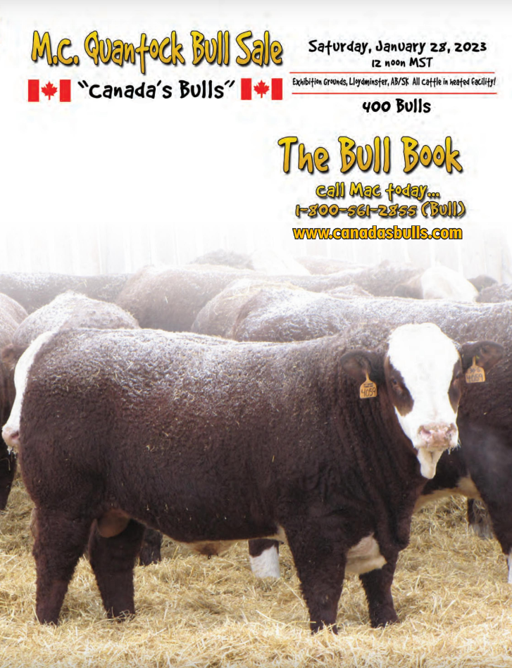 Bull Sale Preview 2023